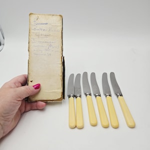 Può includere: Un set di sei coltelli da burro con lame in acciaio inossidabile e manici color crema. I coltelli sono disposti su una superficie bianca accanto a una scatola di cartone vintage con testo scritto a mano.