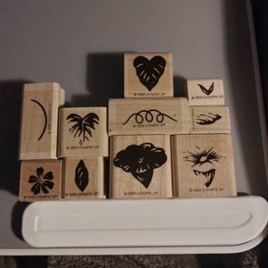 Stampin up Set &quot;Marvelous Morning Glory&quot;