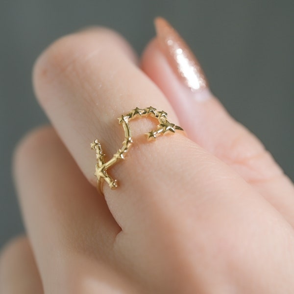 Zierlicher Gold Skorpion, Sternzeichen Ring aus massivem 14K Gelbgold, 14K Weißgold, 14K Rosegold