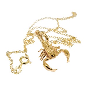 3D Scorpion Pendant Necklace: Solid 14k Gold, Sterling Silver, Vermeil