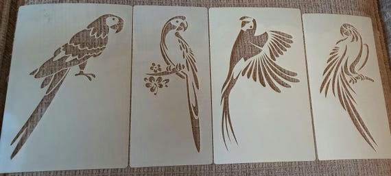 オウム、インコ、コンゴウインコ、オウム、セキセイインコの壁