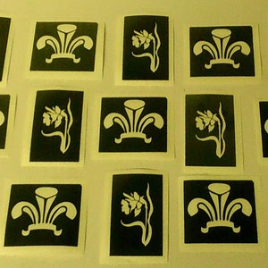Daffodils & Welsh Feather stencils  (mixed) - pick as many as you want from drop down menu  St. David&#39;s Day   6 Nations rugby