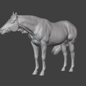 Warmblood Quarter Horse STL sculpt 3D Files, Digital File, 3D Model, Download, Art Dolls
