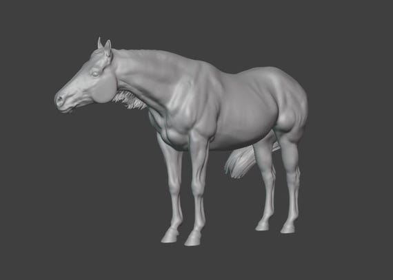 Warmblood Quarter Horse STL sculpt 3D Files, Digital File, 3D Model, Download, Art Dolls
