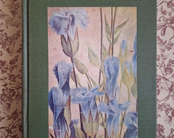 Little Nature Library Wild Flowers by Neltje Blanchan Antique botany