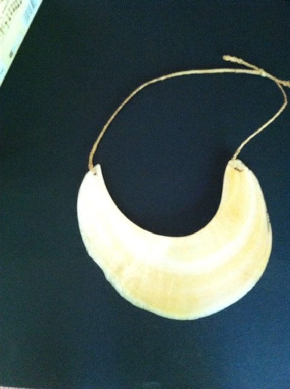 Kina Shell Necklace