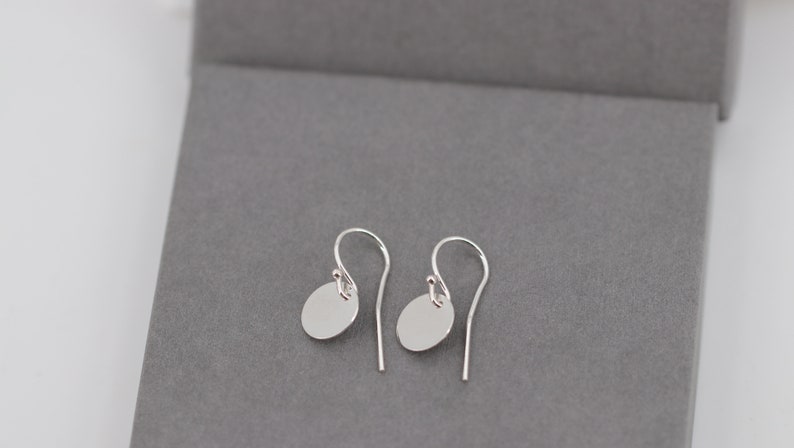 Op de afbeelding: Een paar zilveren oorhangers. Elke oorbel heeft een kleine, platte, cirkelvormige hanger die aan een gebogen oorhaak hangt. De oorbellen worden gepresenteerd op een grijze ondergrond.