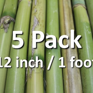 5x 12&quot; Organic Bamboo Poles Stakes Rods All Natural Wind Chimes Craft Floral Gardening Supplies Decor DIY Wand Wood Frames Art Plant Marker