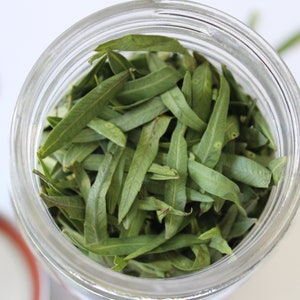 Sample Organic Loose Peruvian (California) Pepper Tree Leaves - Fresh or Dry - Bulk Incense Smudge Herbal Tea Magic Witchcraft Herbs Occult