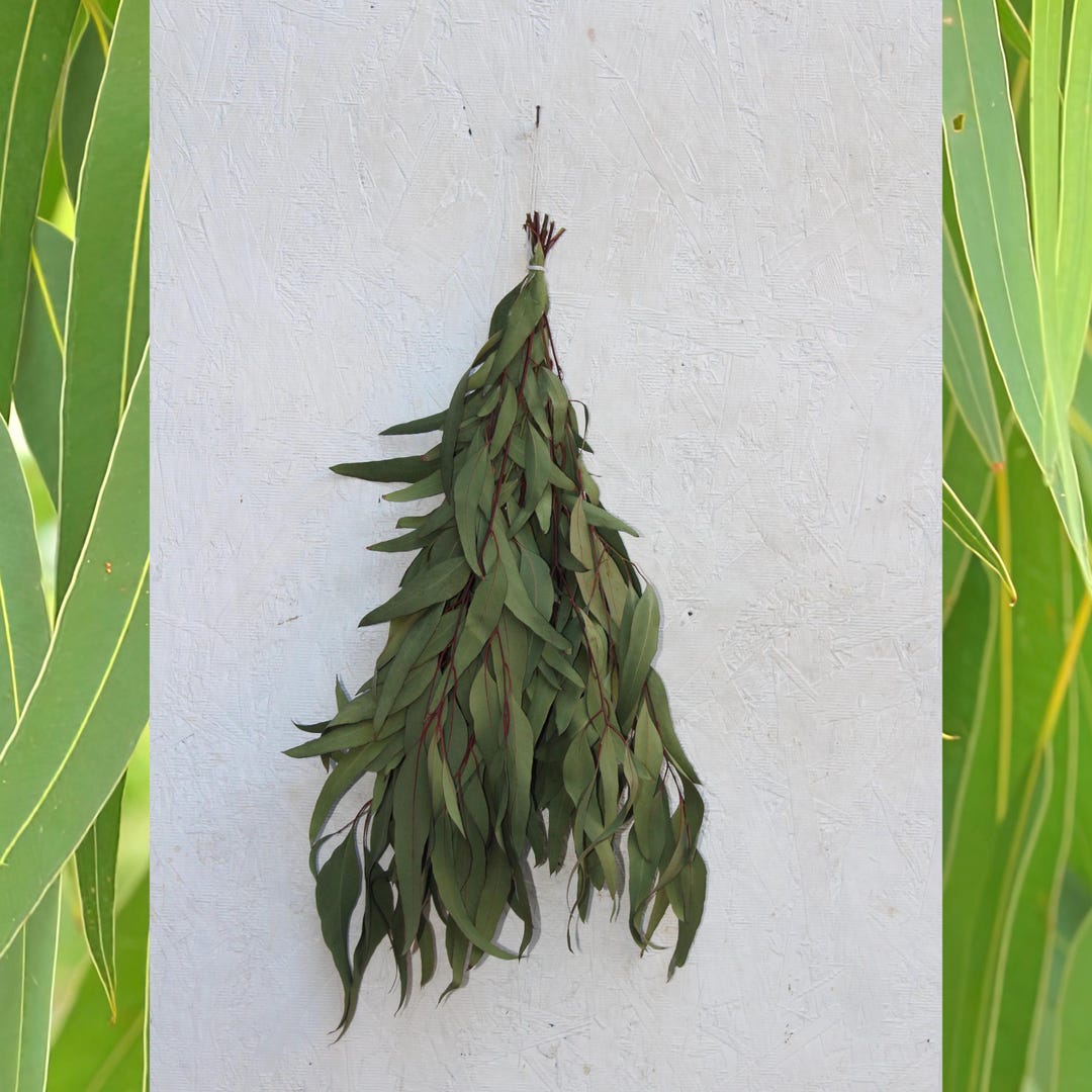 Fresh Eucalyptus Shower Bundle 3 Sizes, Organic Herbal Aromatherapy All ...