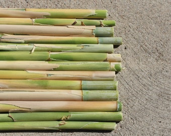 Bambou bio 24 x 1/2 - 1" tiges piquets poteaux coupés à la main tout naturel - carillons éoliens artisanat floral fournitures de jardinage décoration bricolage baguette en bois