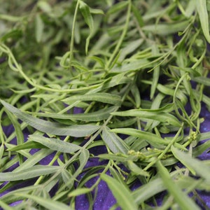 1 oz Organic Peruvian Pepper Tree Leaves on Stem Fresh or Dry Bulk Incense Smudge Herbal Tea Magic Witchcraft Herbs Occult SALE Herb Deal