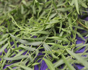 5 oz Organic Loose Peruvian (California) Pepper Tree Leaves - Fresh or Dry - Bulk Incense Smudge Herbal Tea Magic Witchcraft Herbs Occult