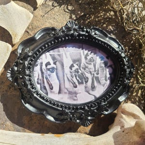 Siamese Cats in Socks on Clothesline Vintage Framed Black and White Photograph Magnet