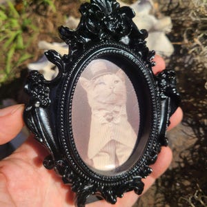 Dapper Cat in Suit and Tie Vintage Framed Black and White Photograph