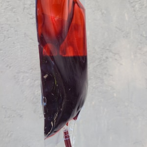 May include: A transparent plastic bag containing a dark red liquid, similar to blood. A tube is connected at the base. The liquid is a deep, rich red, with a slightly lighter hue at the top.