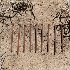 9 Vintage Coffin Nails - Rusty Nails - Hoodoo - Magic - Witchcraft - Occult - Spells - Curios - Rustic Decor - Art Supplies - Magick Supply