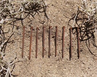 Rusty screws 20 large rusted bolts 1 inch 2 inch Mixed Media