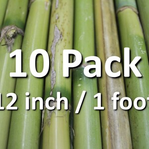 10x 12&quot; Organic Bamboo Poles Stakes Rods All Natural Wind Chimes Craft Floral Gardening Supplies Decor DIY Wand Wood Frames Art Plant Marker