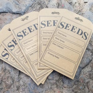 Sachets de graines vides 3 x 4,5 po. Enveloppes autocollantes, sacs en papier kraft pour le stockage des graines, 5/10/20/50 paquets, accessoires de jardinage respectueux de l'environnement