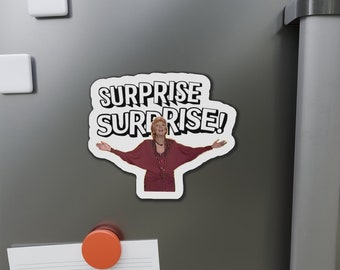 Surprise Surprise Die-Cut Vinyl Magnets Kitchen or Beer Fridge Funny Gift Idea Cilla Black Viral Video Meme Free Shipping