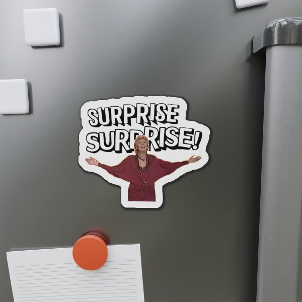 Surprise Surprise Die-Cut Vinyl Magnets Kitchen or Beer Fridge Funny Gift Idea Cilla Black Viral Video Meme Free Shipping