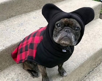 bat hat for french bulldog