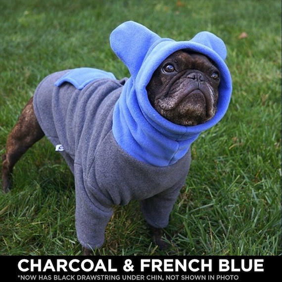 bat hat for french bulldog