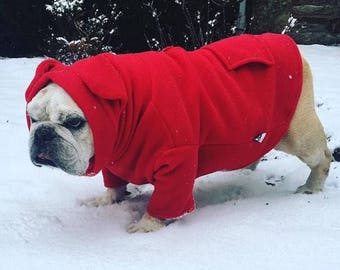 Snorf Industries: Original BatHat Hoodie for English Bulldogs. Keep Adorable Ears Cute & Warm!