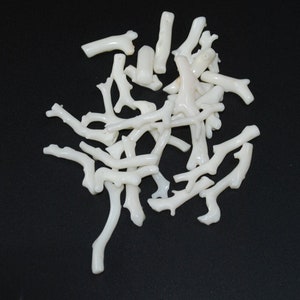 Italian White Coral Branch Beads Natural (12) natural real sticks