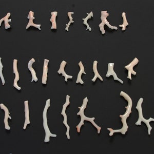 Italian Pink Angel Skin Coral Branch Beads Natural (12) sticks