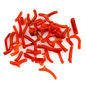 Italian Orange Red  Coral Branch Beads Natural 12 beads Vintage