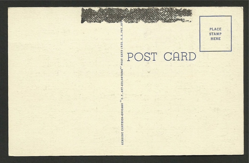Linen Postcard 1470 In Hawaii the Old Way of Plowing the Fields was to Use Water Buffalo