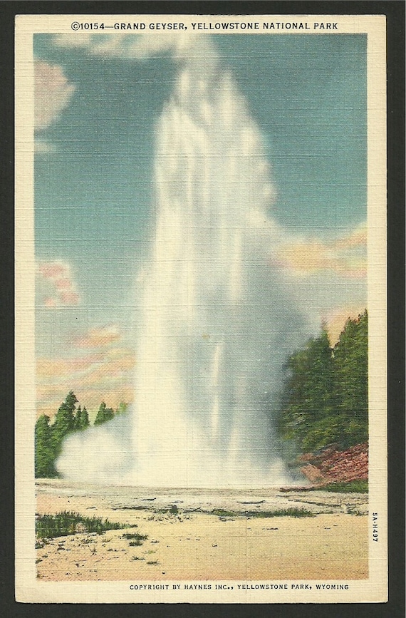 Grand Geyser in Eruption Unused Yellowstone National Park Vintage ...