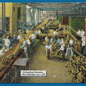 Cartão postal de linho vintage - Armazém em Nova Orleans, Louisiana, o Porto de Banana do Mundo (2262)