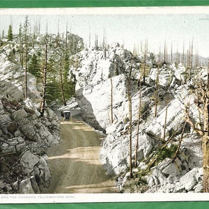 Cartão postal Vintag - Um cavalo e uma charrete viajando pela estrada nevada, Silver Gate e The Hoodoos no Parque Nacional de Yellowstone, Wyoming (3490)