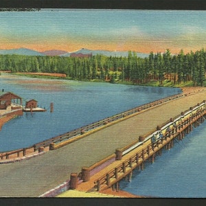 Vintage Postcard - A Bridge used for Fishing over Yellowstone River at Outlet of Yellowstone Lake, Yellowstone National Park (1487)
