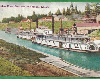 Vintage Postcard - Steamer Boats at the Cascade Locks on the Columbia River in Oregon  (3448)