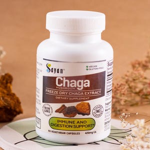 Cápsulas de extrato de cogumelo chaga em pó, suplemento de cogumelo, chaga colhido na Sibéria