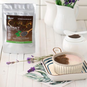 Extrato de cogumelo chaga selvagem com pó de betulina, suplemento liofilizado, chaga orgânico colhido na Sibéria