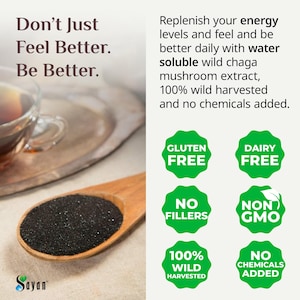 Chaga Extract Powder, Wild Chaga Mushroom Powder for Tea, Siberian Chaga for Energy, Wellness Gift, Natural Detox Supplement, Chaga Tea