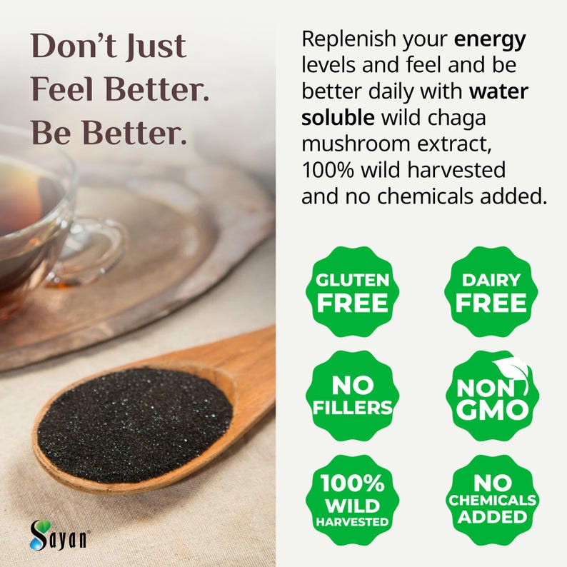 Chaga Extract Powder, Wild Chaga Mushroom Powder for Tea, Siberian Chaga for Energy, Wellness Gift, Natural Detox Supplement, Chaga Tea