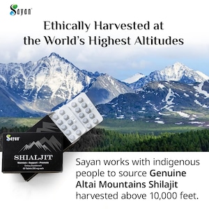 May include: A bottle of Sayan Shilajit dietary supplement with 60 tablets, 200 mg each. The bottle is in front of a snowy mountain range. The text on the bottle reads "Sayan Shilajit Maintain - Support - Promote Dietary Supplement 60 Tablets 200 mg each". The text below the bottle reads "Sayan works with indigenous people to source Genuine Altai Mountains Shilajit harvested above 10,000 feet."