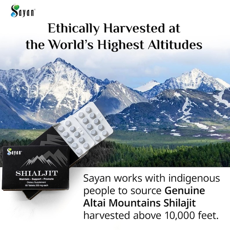 May include: A bottle of Sayan Shilajit dietary supplement with 60 tablets, 200 mg each. The bottle is in front of a snowy mountain range. The text on the bottle reads "Sayan Shilajit Maintain - Support - Promote Dietary Supplement 60 Tablets 200 mg each". The text below the bottle reads "Sayan works with indigenous people to source Genuine Altai Mountains Shilajit harvested above 10,000 feet."
