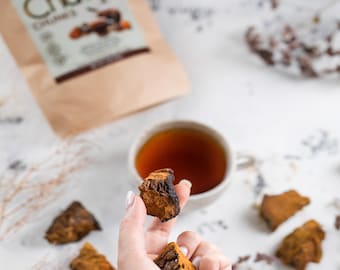 Chaga Mushroom Chunks for Tea, Organic Siberian Dried Chaga for Tincture