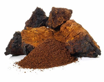 Chaga-Pilz-Pulver, wild gesammelt in Kanada 1lb (454g), nährstoffreiches Superfood für Tee, biologische Ergänzung, gemahlener Chaga