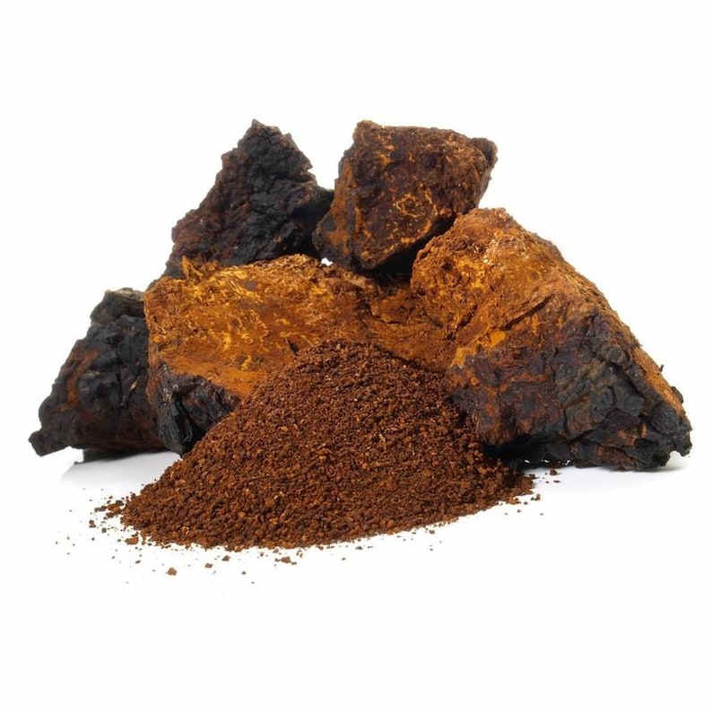 Chaga Mushroom Powder, Wild-Harvested in Canada 1lb (454g), Nutrient-Rich Superfood for Tea, Antioxidant Supplement, Ground Chaga