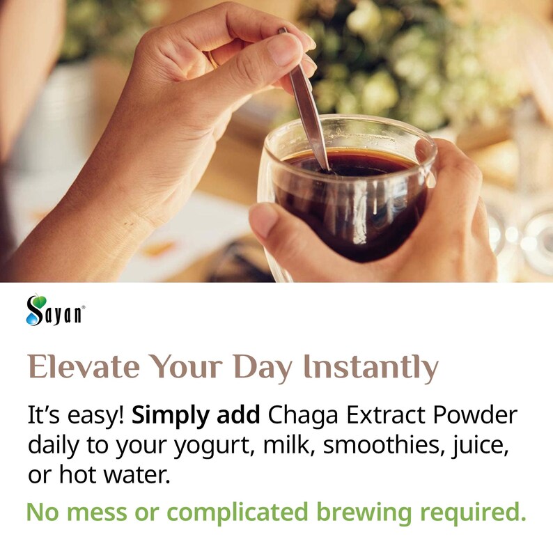 Chaga Extract Powder, Wild Chaga Mushroom Powder for Tea, Siberian Chaga for Energy, Wellness Gift, Natural Detox Supplement, Chaga Tea