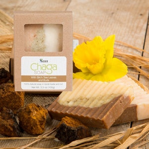 Chaga Mushroom Soap with Birch Tree Leaves and Buds, Natural Handmade Soap 3.5oz, Self Care Gift, Organic Homemade Chaga Soap