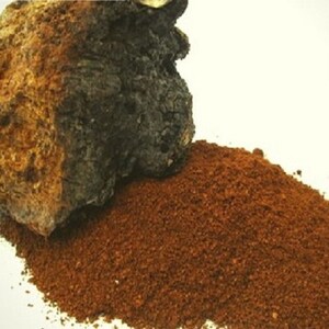 Chaga Mushroom Powder, Wild-Harvested in Canada 1lb (454g), Nutrient-Rich Superfood for Tea, Antioxidant Supplement, Ground Chaga